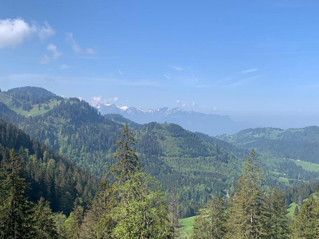 Boutique Hotel Corbetta - Spa 60M2 - La Montagne A 5 Minutes De L'Autoroute A12 Aux Paccots Sur Montreux - Nouveau Loft Familial - Profitez Du Lac Leman Et Des Montagnes En Meme Temps Les Paccots Εξωτερικό φωτογραφία