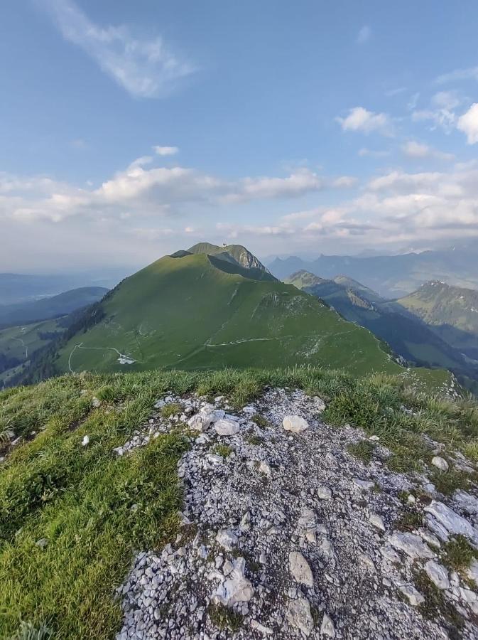 Boutique Hotel Corbetta - Spa 60M2 - La Montagne A 5 Minutes De L'Autoroute A12 Aux Paccots Sur Montreux - Nouveau Loft Familial - Profitez Du Lac Leman Et Des Montagnes En Meme Temps Les Paccots Εξωτερικό φωτογραφία
