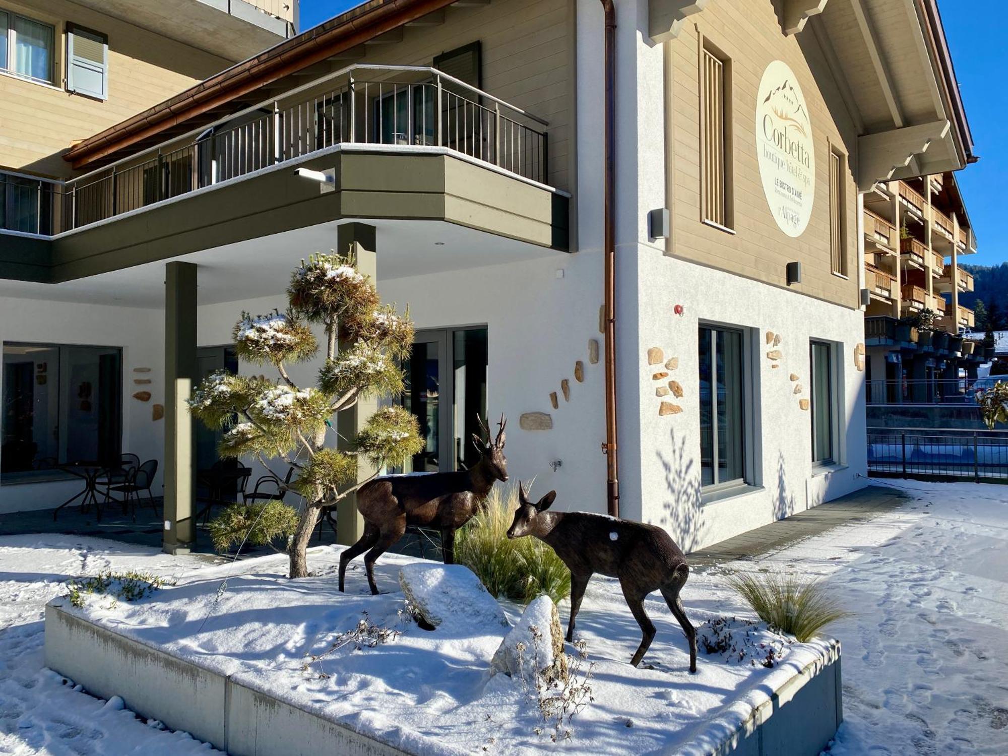 Boutique Hotel Corbetta - Spa 60M2 - La Montagne A 5 Minutes De L'Autoroute A12 Aux Paccots Sur Montreux - Nouveau Loft Familial - Profitez Du Lac Leman Et Des Montagnes En Meme Temps Les Paccots Εξωτερικό φωτογραφία